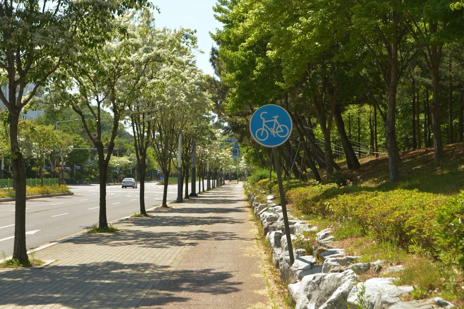 建德洋安新城：滨江绿道提升项目即将启动