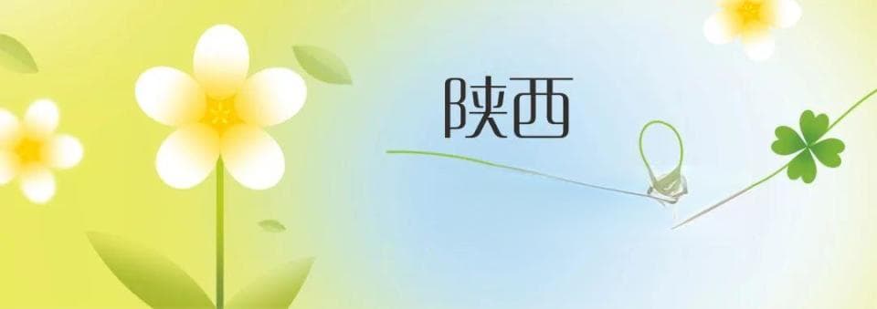 二月二龙抬头，科学养发正当时：从营养到中医调理的全方位护发指南