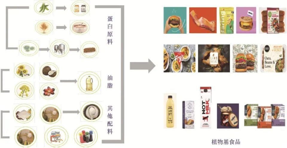 推动食品工业发展的引擎：新一代食品生物技术