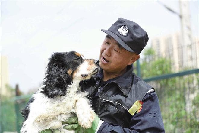 警队里的“师徒”续写着新老民警的传承 人与犬的忠诚故事