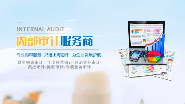 内部审计技巧：从工作计划到发展趋势的全面指南