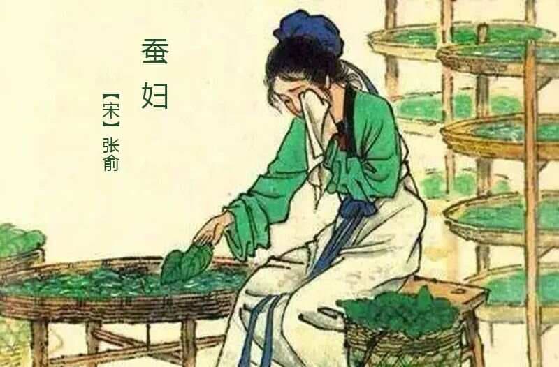 【悦读】宋•张俞《蚕妇》赏析及同步练习