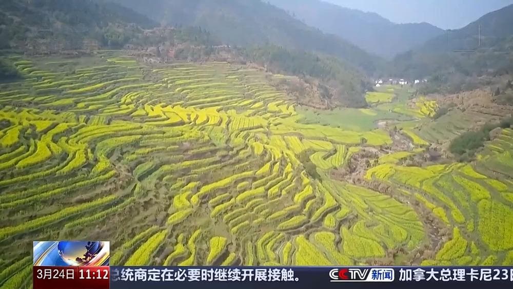 清明将至 短途旅游线路火爆 这些宝藏地等你打卡