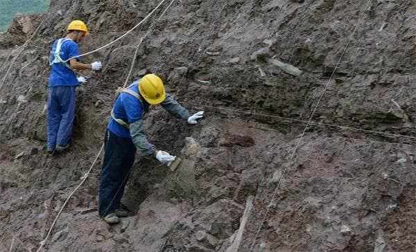 重庆云阳恐龙国家地质公园：世界最大侏罗纪单体恐龙化石墙