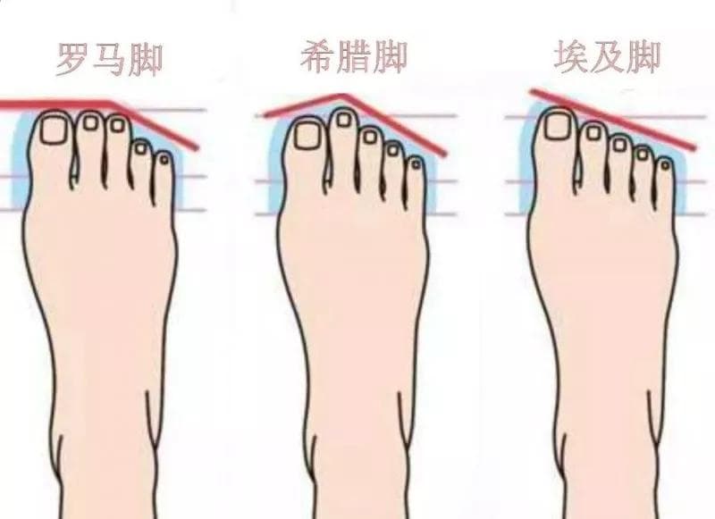 揭秘三种脚型：埃及脚、罗马脚与希腊脚的特征与区别
