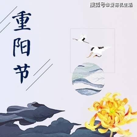 重阳节为什么喝菊花酒？