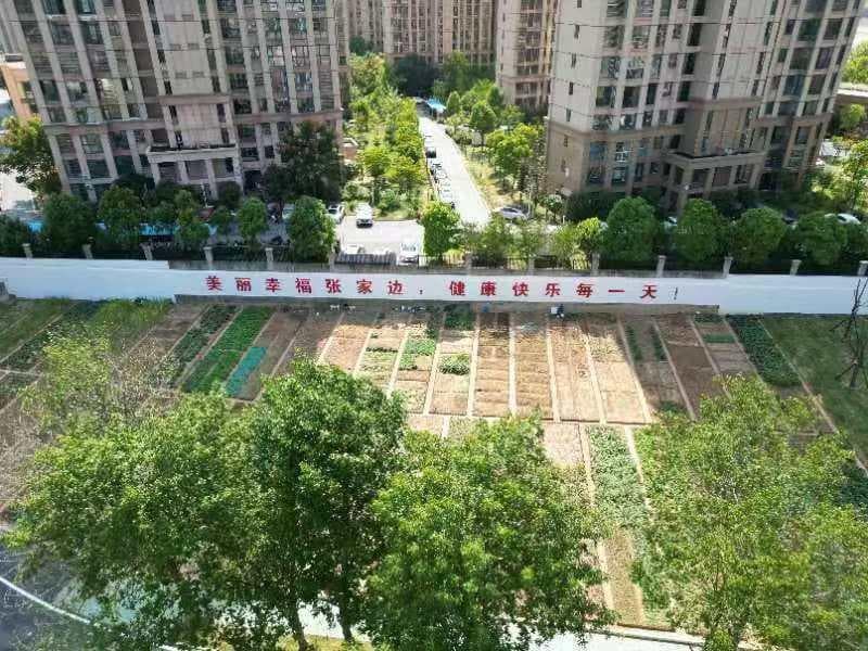 红安培城社区：张家边"共享菜园"种出美好环境与幸福生活