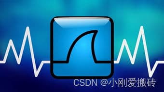 Wireshark 使用指南：网络协议分析的全面教程