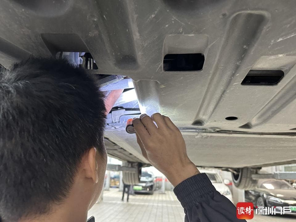 冬天小心车底“长”猫！开车前这些细节要注意