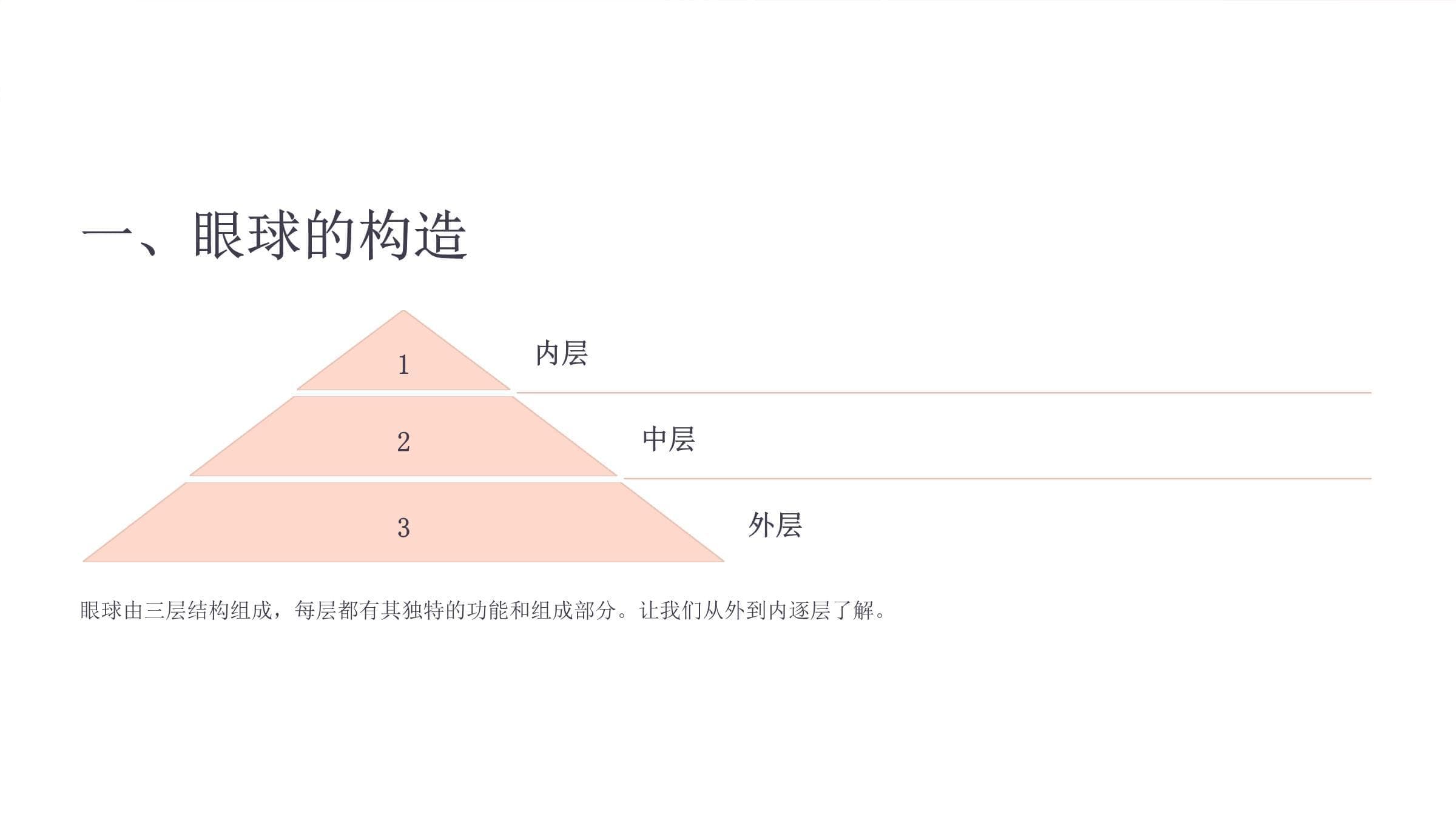 《眼部解剖生理》课件