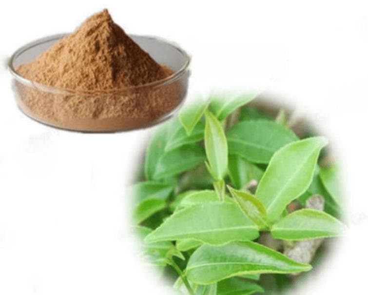 为什么喝完奶茶会失眠？如何科学饮用奶茶？