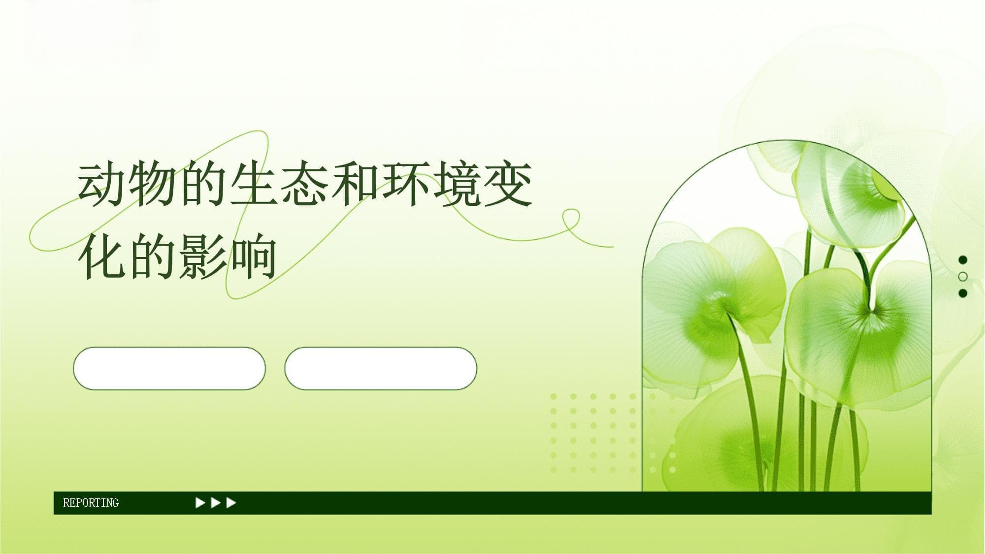 动物的生态和环境变化的影响