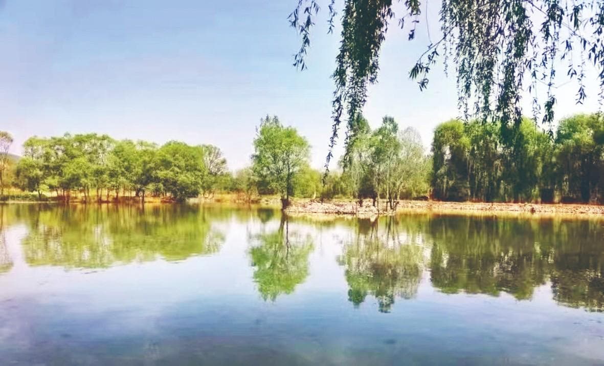 辛安泉域：碧水清流润大地 生态画卷美如诗
