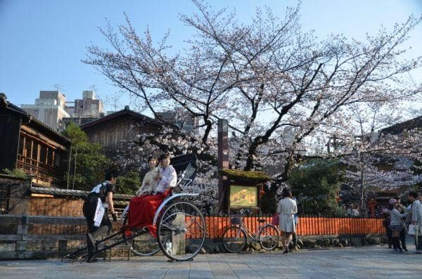 日本留学签证申请指南：从准备材料到面试的详细解析