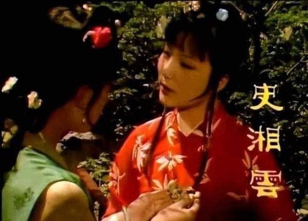 红楼梦：袭人规劝与宝玉反叛的情感博弈