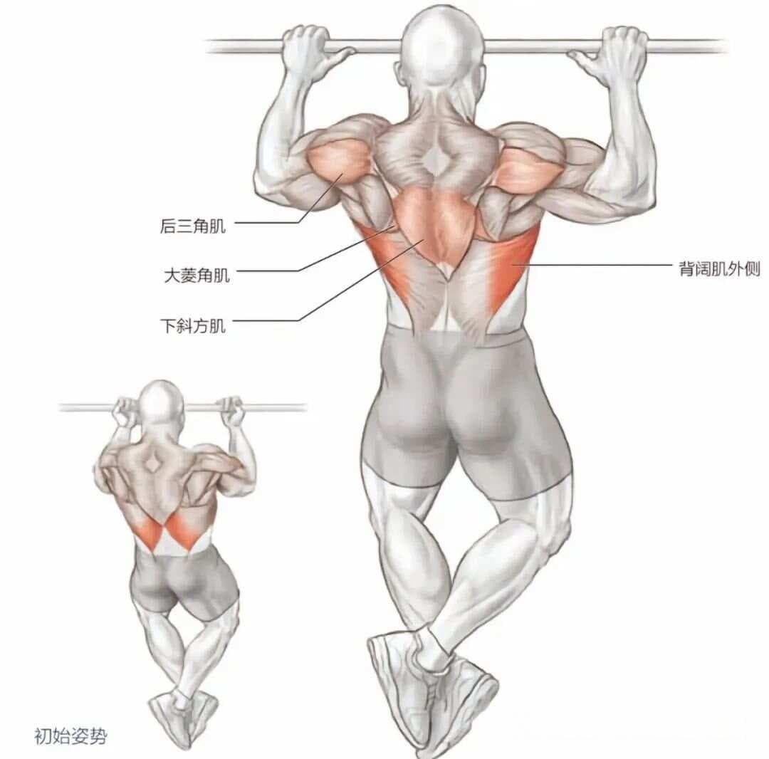 健身中的力学之美：阻力、阻力距与动力的奥秘