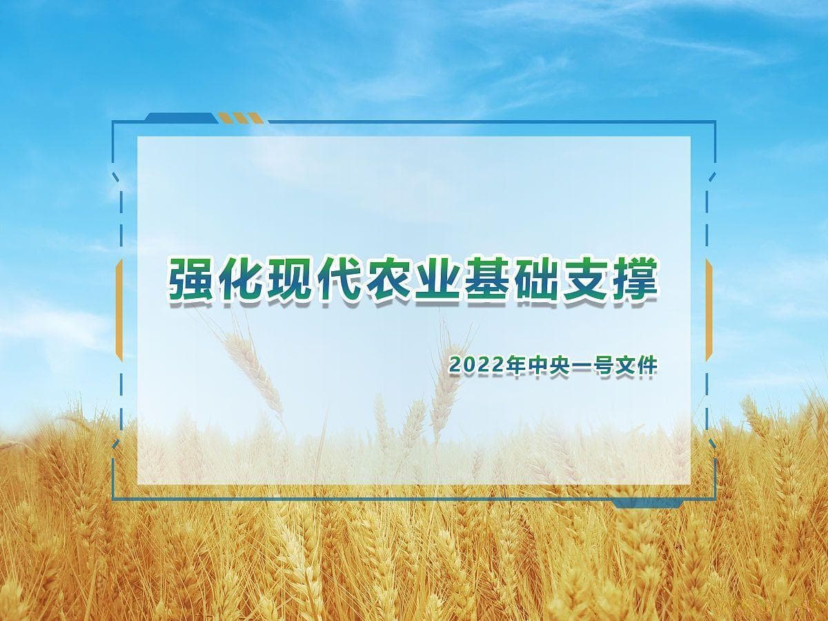 金融科技赋能农村金融，助力乡村振兴战略实施