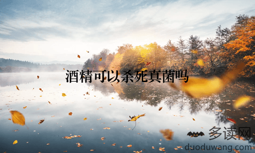 酒精可以杀死真菌吗