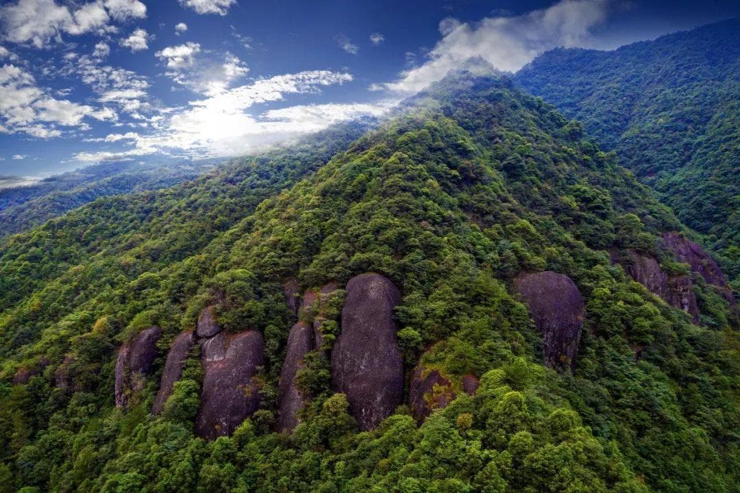 浙江遂昌九龙山：亚热带东部罕见的原始森林秘境