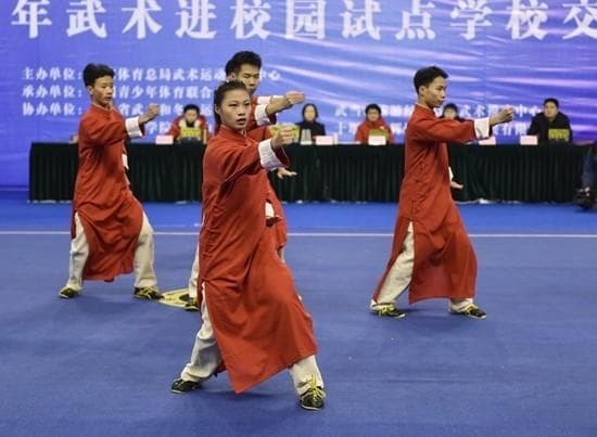 武术进校园试点赛在武当山开赛，专家呼吁将武术列为独立课程