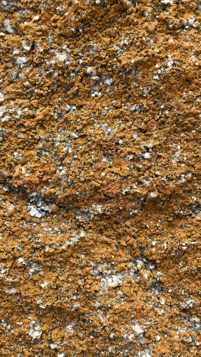 海底火山石的秘密：为什么那么多孔？