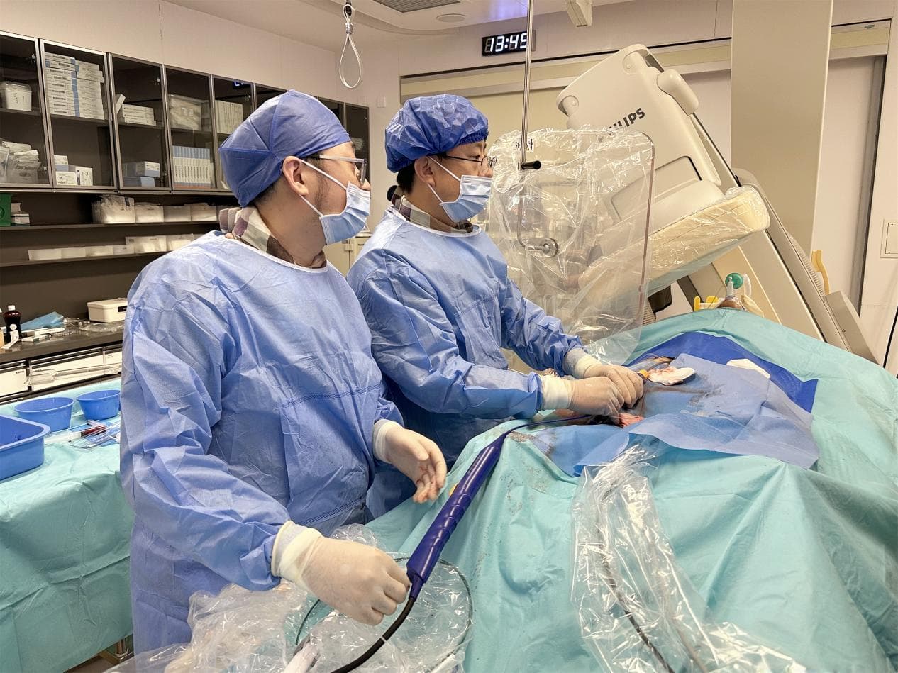 厦心医院成功实施新型房颤介入治疗技术
