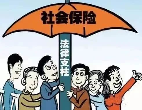 未参保的劳动者因病或非因工死亡，可向单位主张哪些赔偿？