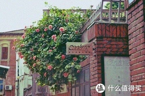 传统与现代：奶黄包的演变与传承