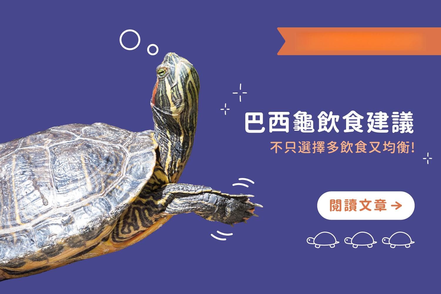 巴西龟饮食建议：注意肉质新鲜及充足水分