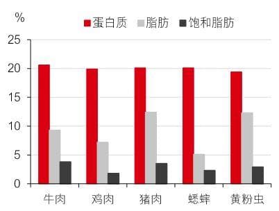 永续发展的重要性：食用昆虫即将成为您餐桌上的食物