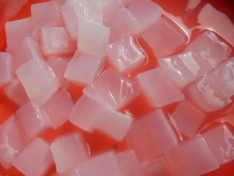 西米不是米，是“椰子”！