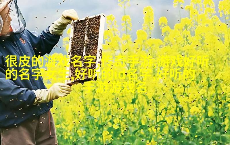 取个有仙气的古风网名：从诗词到自然元素的创意指南