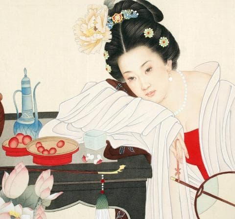 杨贵妃与荔枝：唐朝宫廷中的美食与文化符号