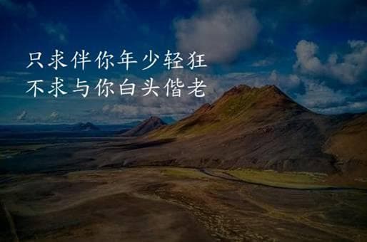 苏叶的功效与作用