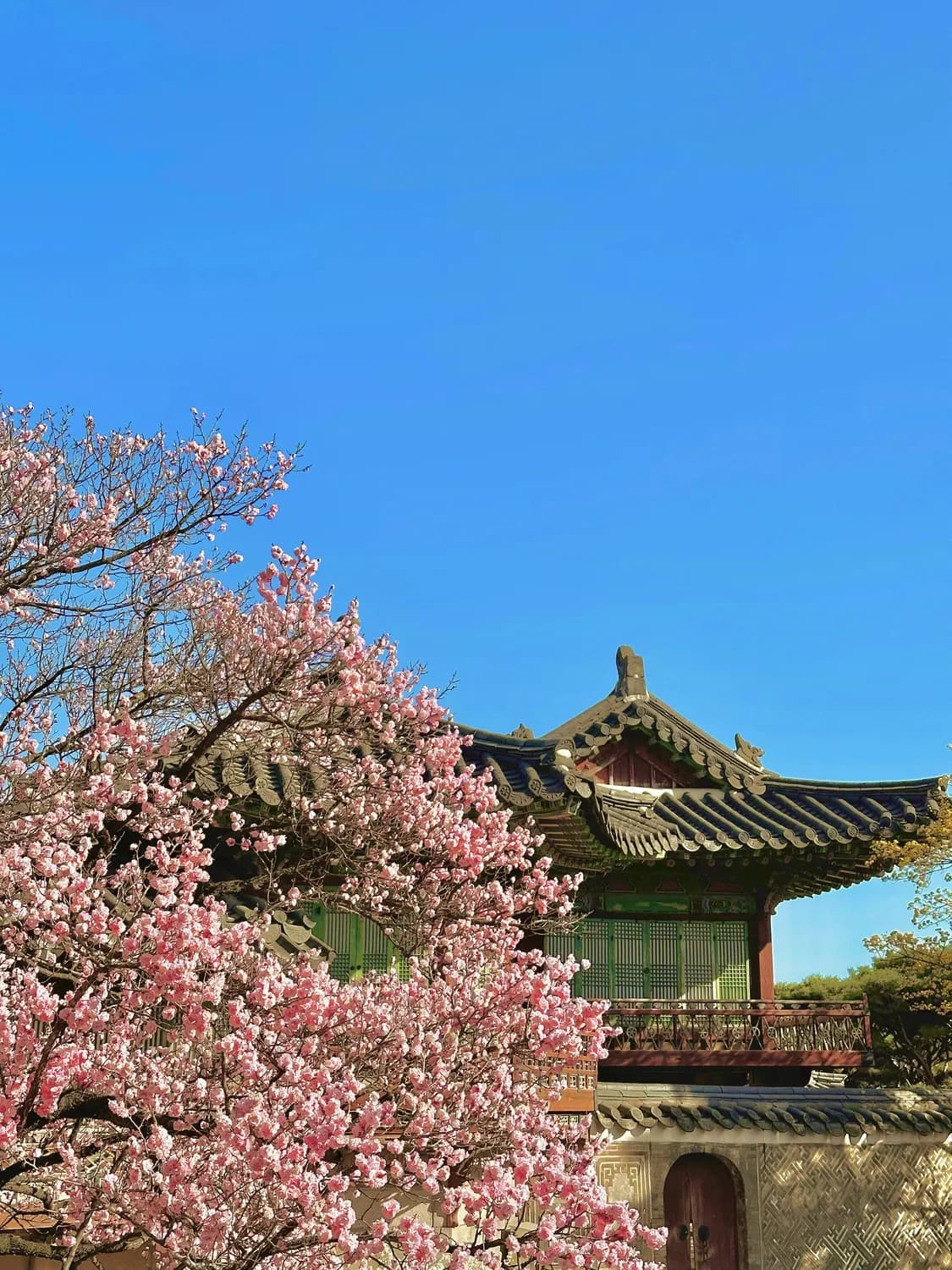 颐和园春季赏花攻略：花开时间与游览路线全解析
