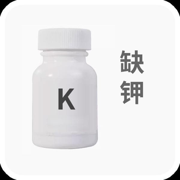 钾低了怎么补钾