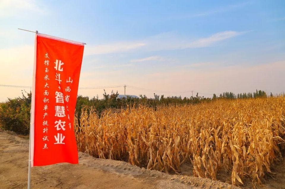 北斗导航助力智慧农业：从“会”种田到“慧”种田