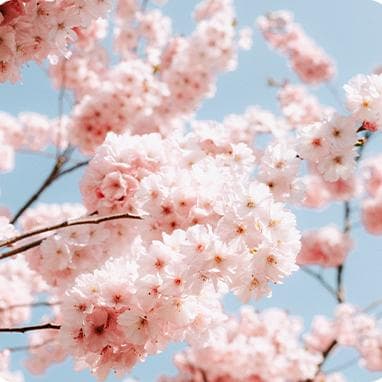 @阿姨爷叔，几年前退休的也能领电子退休证，手机上就能办~