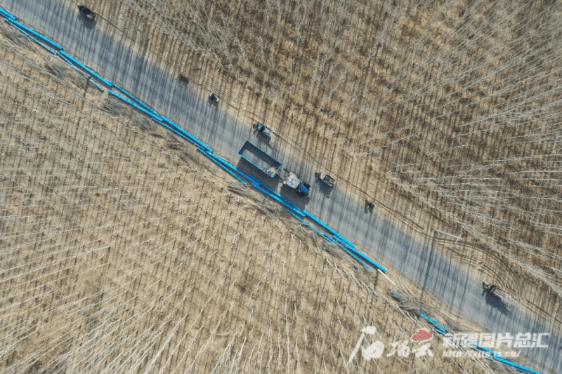 不负好春光 添绿正当时——南疆各地掀起植树造林热潮