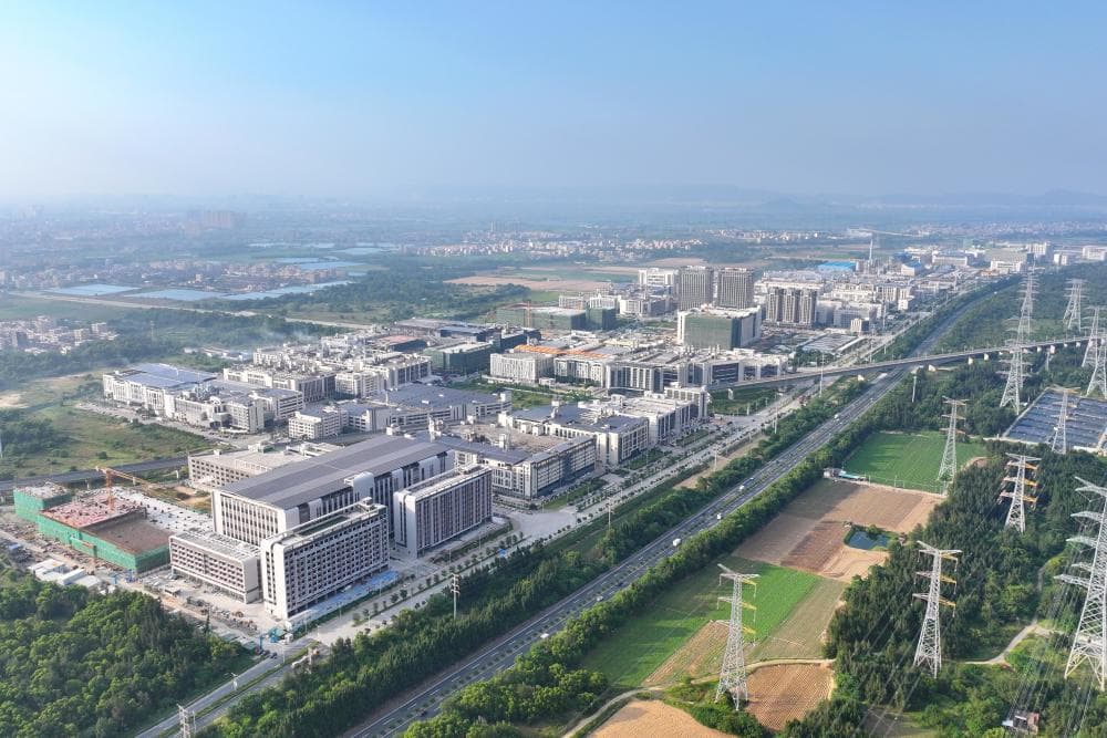 全省第六！汕头潮南区2024年营商环境获肯定