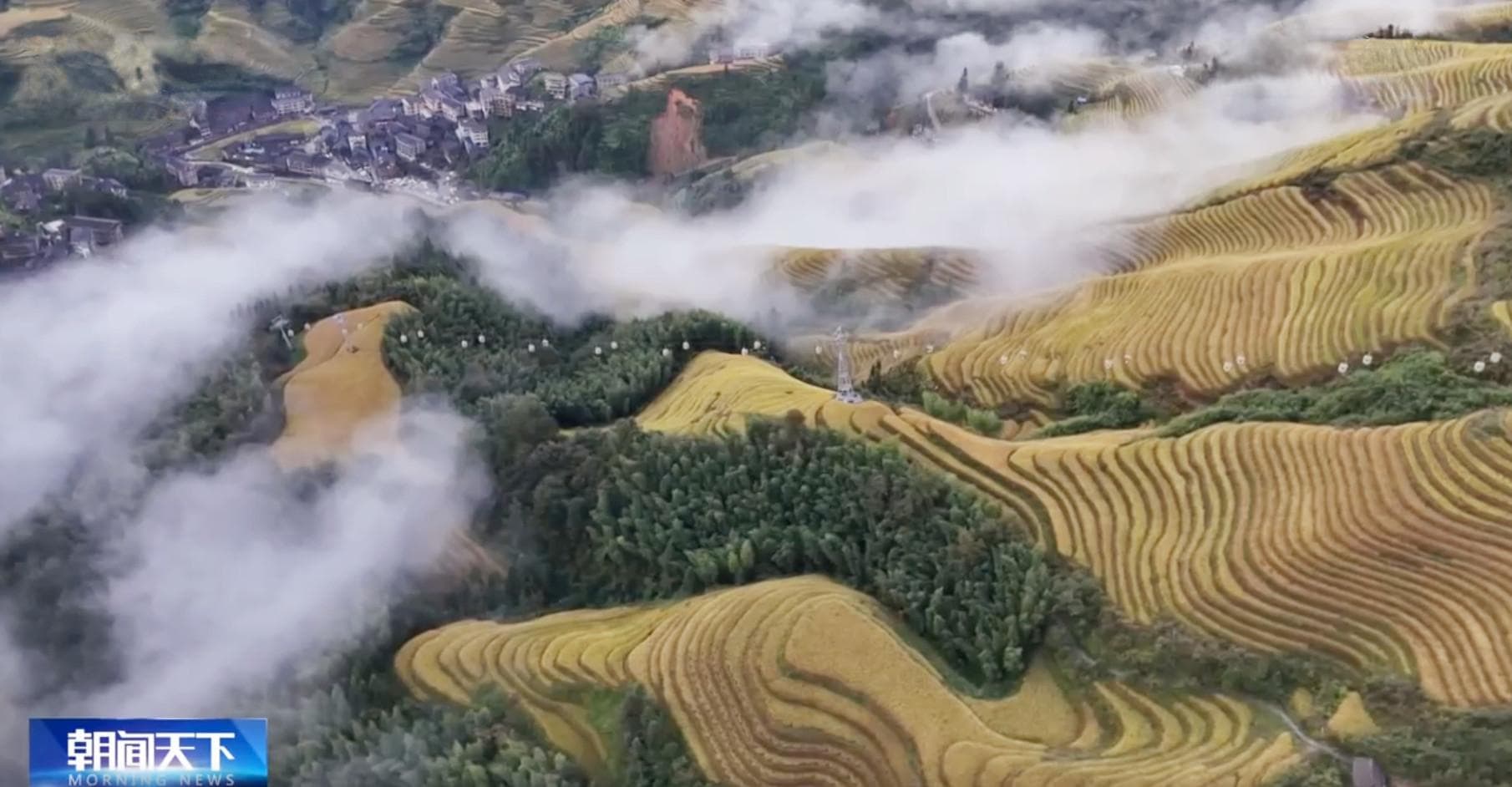 金秋十月，中国多地现梯田金黄、彩林斑斓美景