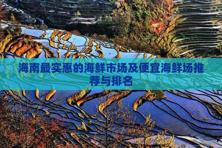 海南最实惠的海鲜市场及便宜海鲜场推荐与排名