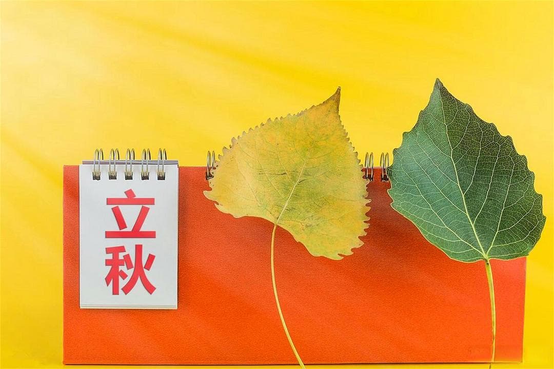 “秋吃果，药不抓”，明日立秋，提醒多吃5样“秋果”，安稳入秋