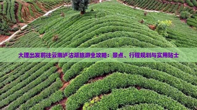 大理出发前往云南泸沽湖旅游全攻略：景点、行程规划与实用贴士