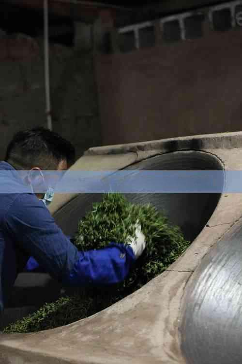 全面解析1618普洱茶的价格因素及其市场价值