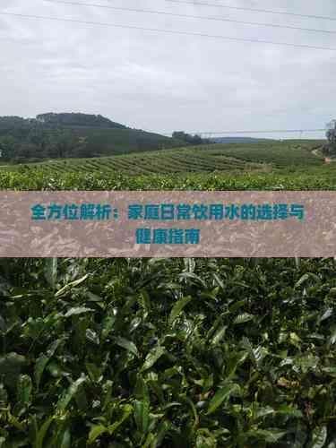 全方位解析：家庭日常饮用水的选择与健康指南