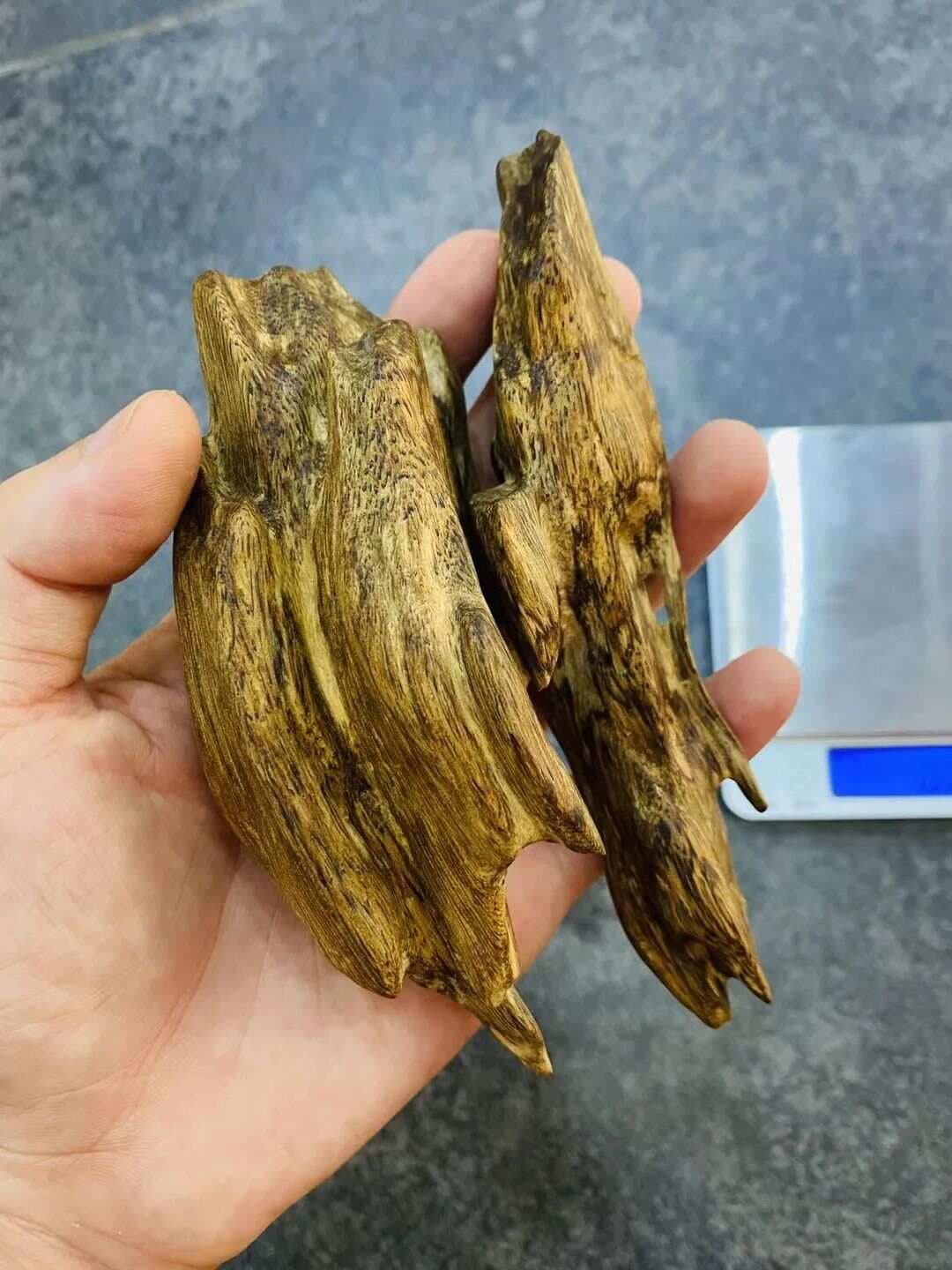 沉香极品奇楠的品类与特点