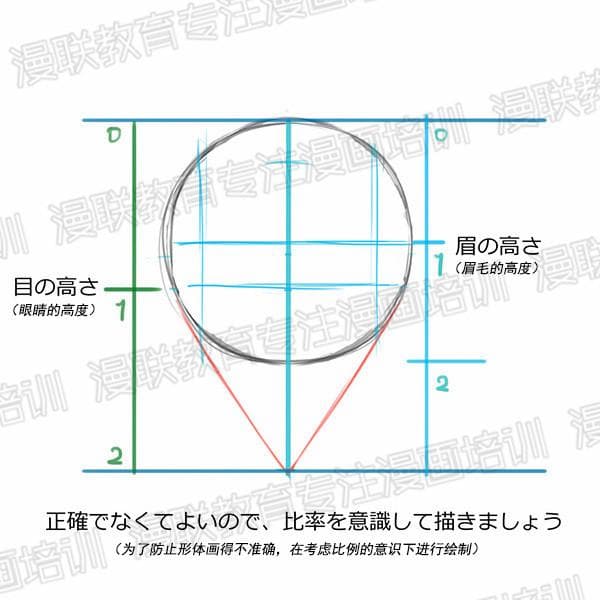 零基础绘画教程：正脸和侧脸的超详细画法讲解