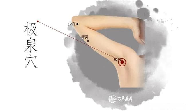 百草益寿：强心力、补心血、养心脉的八大穴