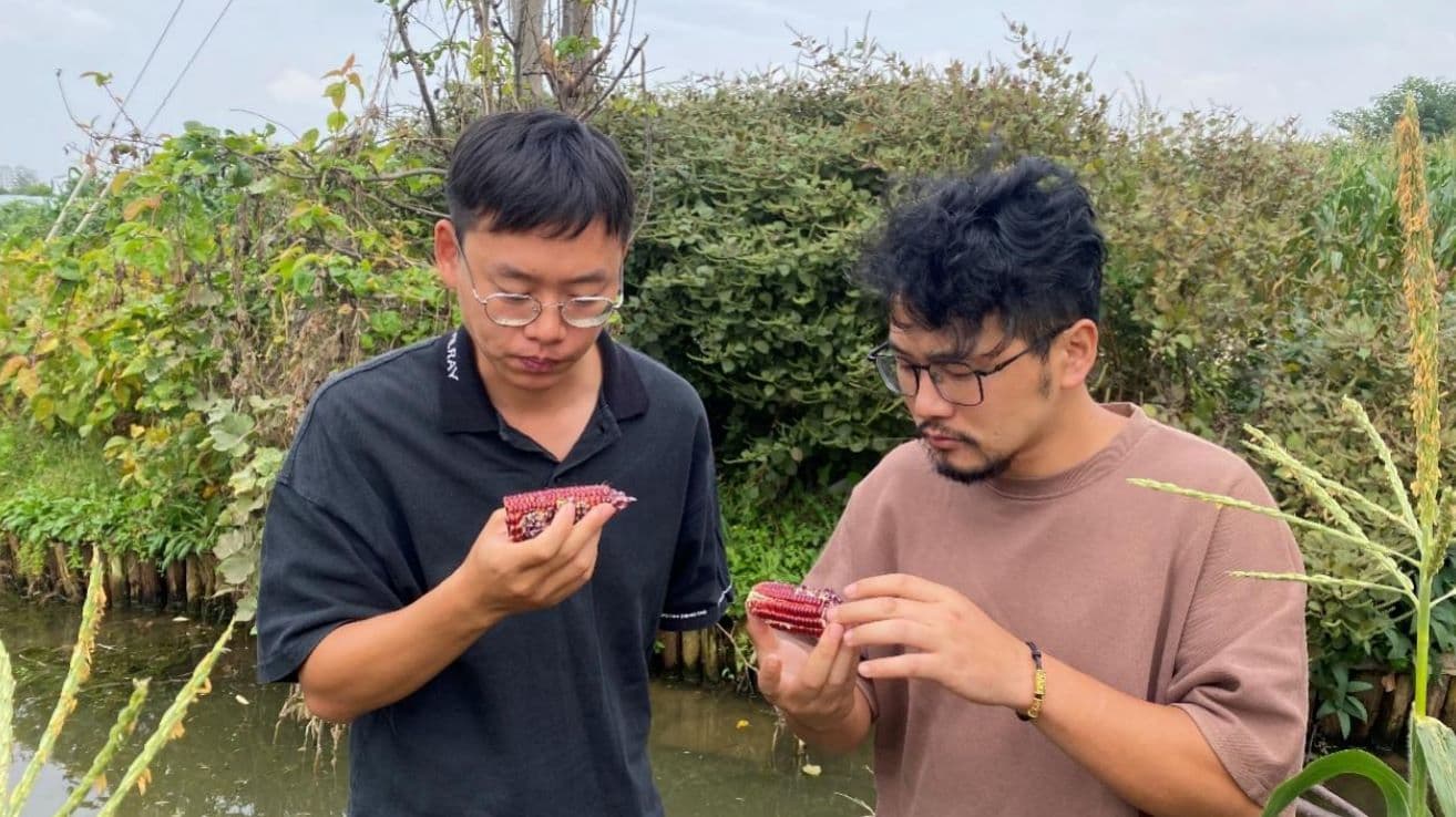 出彩临港人｜80后新农人，努力推广可持续临港农业模式